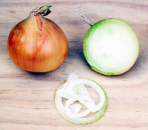 1024px-Onion